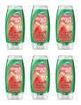 duschdas Wassermelone Duschgel , 6x225ml EAN8720181333972
