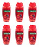 Palmolive Limited Edition Berry Winterland Duschgel , 6x250ml EAN8718951760493